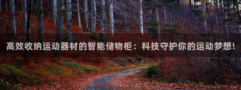 k1体育官方正版app娱乐40996:高效收纳运动器材的智能