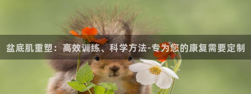 k1体育官网下载招商电话号码:盆底肌重塑:高效训练、科学方法