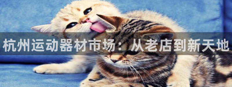 k1体育官方正版app娱乐平台:杭州运动器材市场:从老店到新