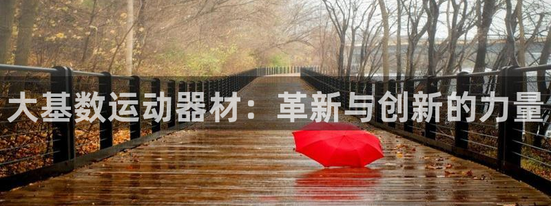 k1体育官网下载招商电话号码:大基数运动器材:革新与创新的力